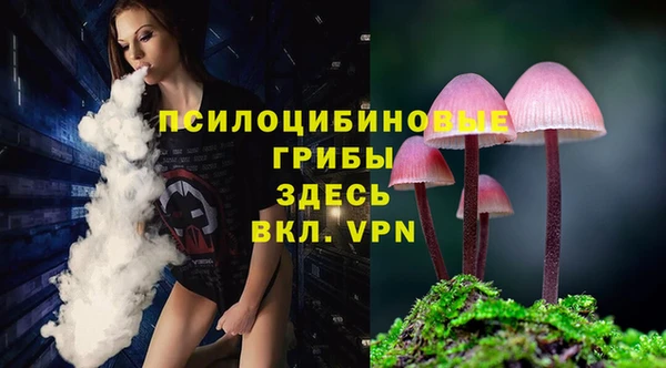 бошки Абдулино