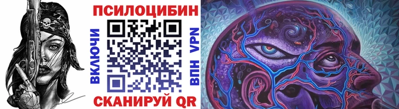 Псилоцибиновые грибы Cubensis  Назрань 